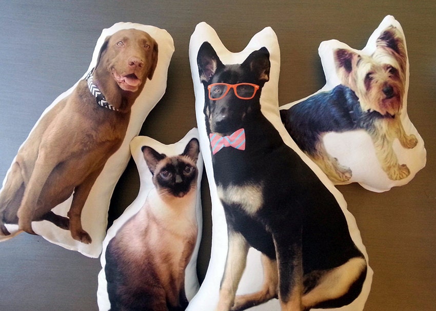 Custom Pet Photo Pillow, College Student Gift, Dorm Room, Personalized Pet Pillow, Pet Loss, Highschool Graduation Gift, Christmas Gift
