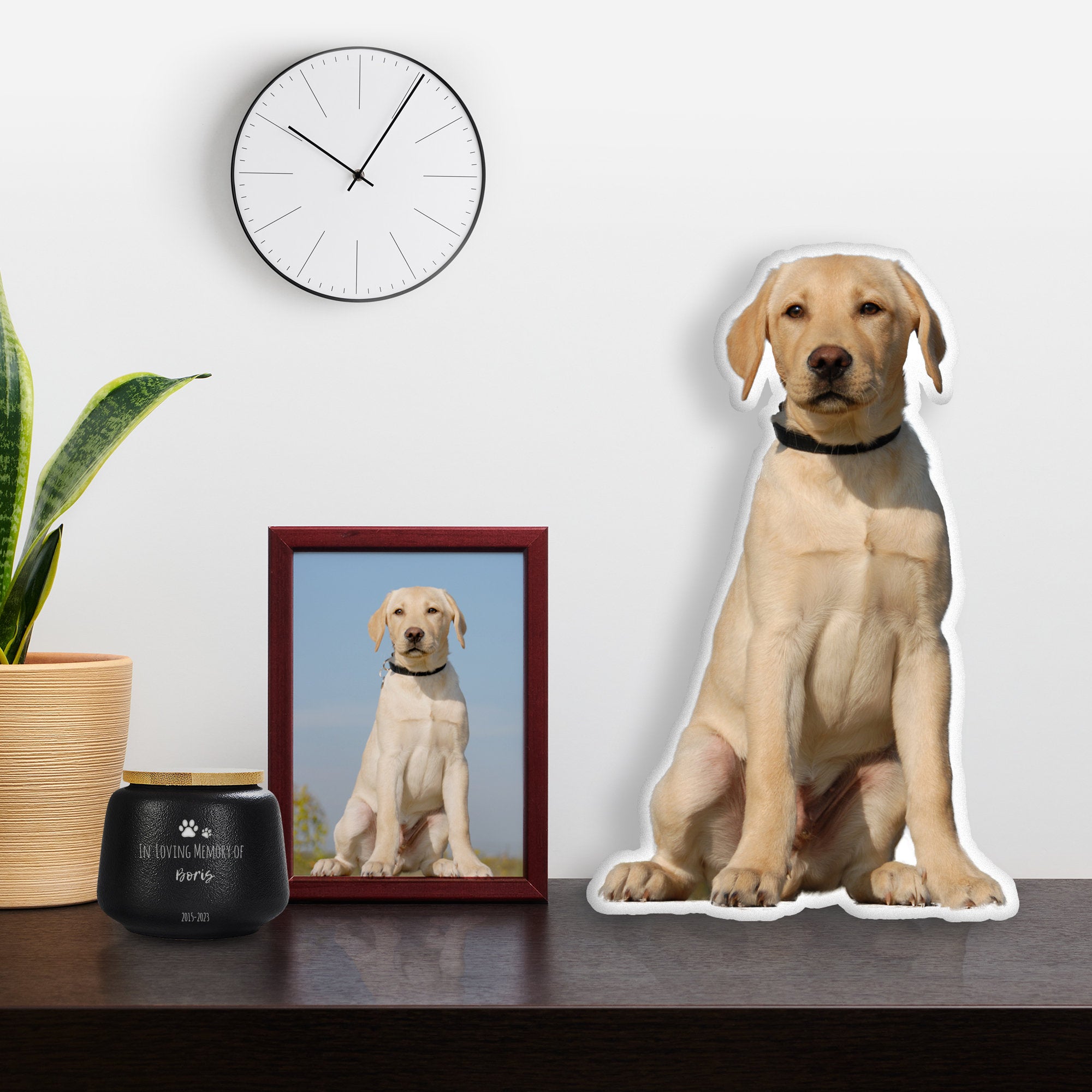 Custom 3D Pet Pillow from Photo - Personalize Dog Gift Cat Gift Halloween Gift - Double Printed Cotton Dog Pillow Pet Pillow Cat pillow