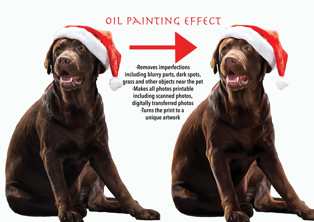 Custom Dog Face Blankets, Personalized Pet Photo Blanket, Fleece Dog Blankets, Customized Photo Throws, Dog Dad Gifts, Pet Lover Gifts 1216248938