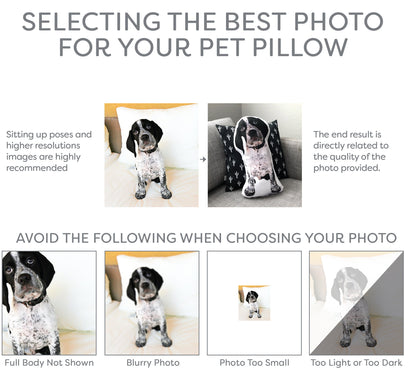 Custom Pet Photo Pillow, College Student Gift, Dorm Room, Personalized Pet Pillow, Pet Loss, Highschool Graduation Gift, Christmas Gift