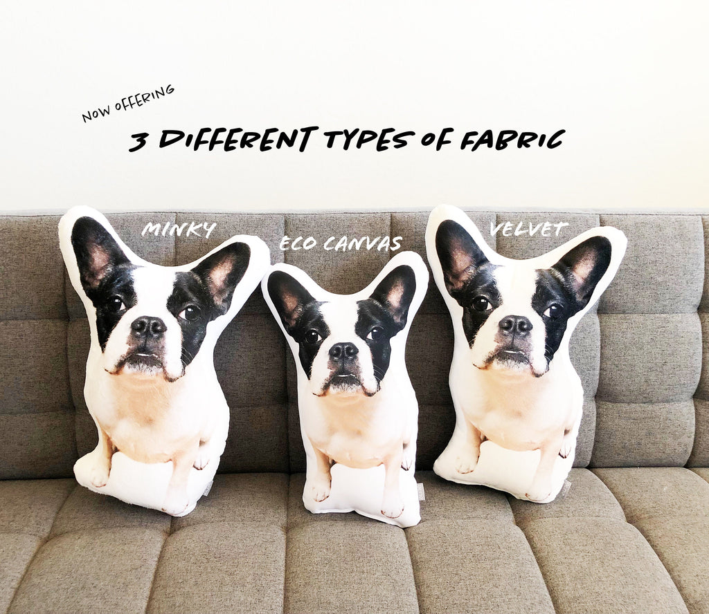 Custom Pet Photo Pillow, College Student Gift, Dorm Room, Personalized Pet Pillow, Pet Loss, Highschool Graduation Gift, Christmas Gift