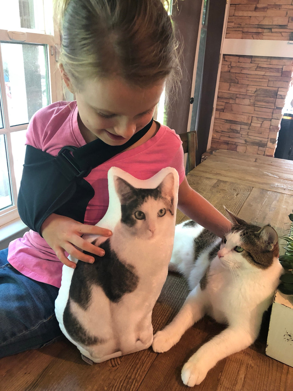 Custom Shaped Pet Pillow, Student Gift, Dorm Room, College, Moving Away, Pet Loss, Graduation gift, 3D Photo Pillow, Christmas Gift, Etsy