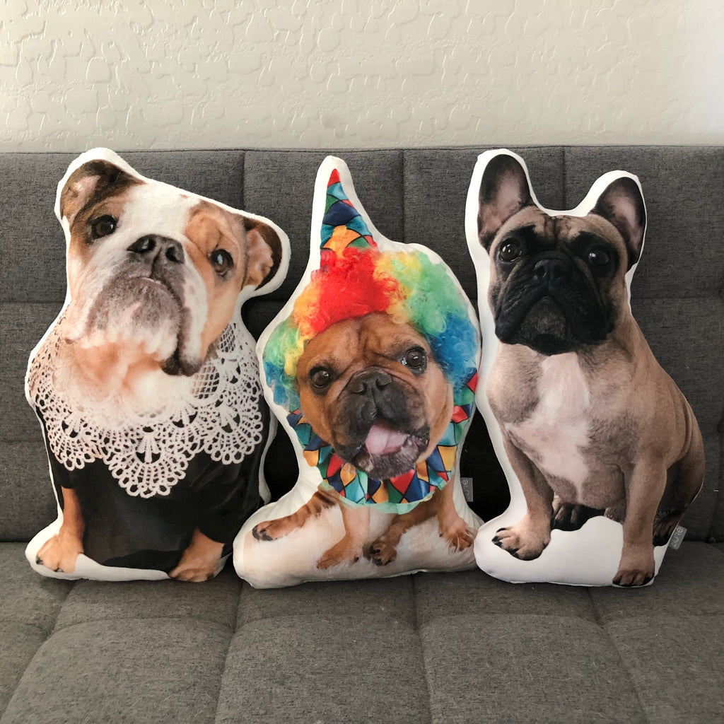 Custom Pet Photo Pillow, College Student Gift, Dorm Room, Personalized Pet Pillow, Pet Loss, Highschool Graduation Gift, Christmas Gift