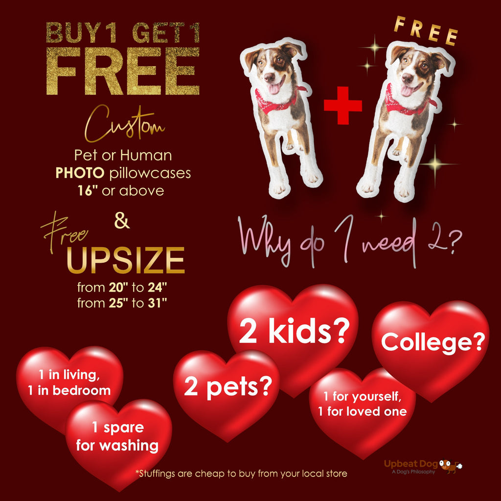 LARGE Custom Pet Pillow, Dog Cat Photo Pillow, Pet Loss, Dorm Gift, Personalized Puppy Kitten Cat Gift, Dog Mom Gift, Soft Double-sided