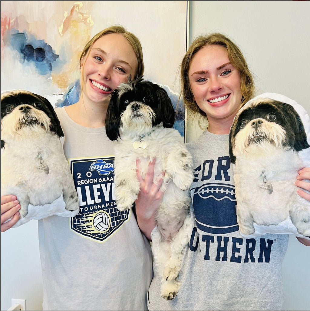 Custom Shaped Pet Pillow, Student Gift, Dorm Room, College, Moving Away, Pet Loss, Graduation gift, 3D Photo Pillow, Christmas Gift, Etsy