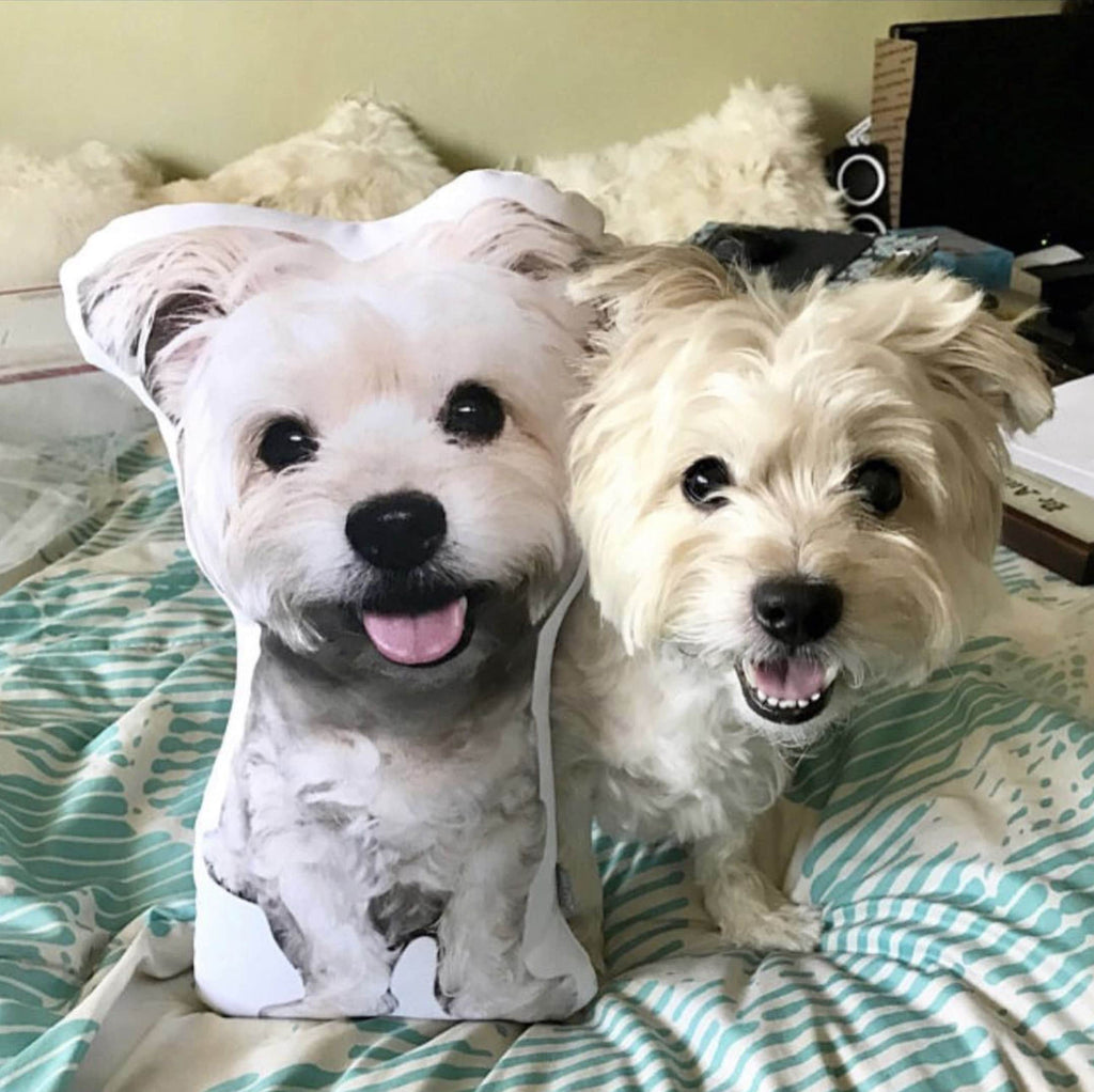 Custom Shaped Pet Pillow, Student Gift, Dorm Room, College, Moving Away, Pet Loss, Graduation gift, 3D Photo Pillow, Christmas Gift, Etsy