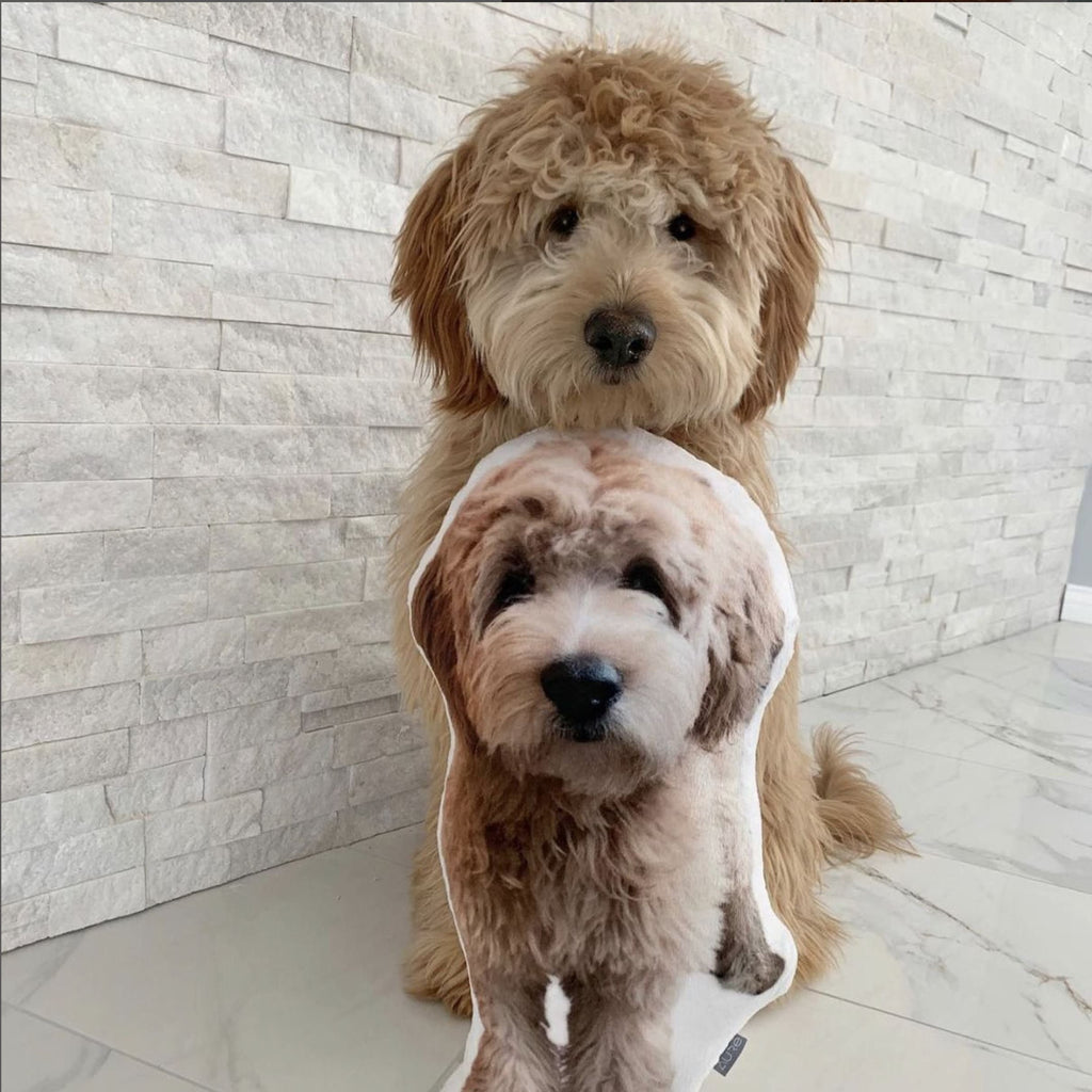 Custom Shaped Pet Pillow, Student Gift, Dorm Room, College, Moving Away, Pet Loss, Graduation gift, 3D Photo Pillow, Christmas Gift, Etsy