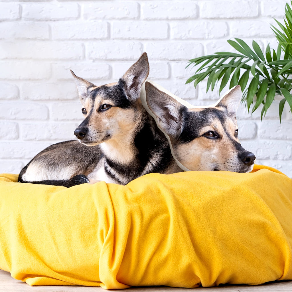 Custom 3D Pet Pillow from Photo - Personalize Dog Gift Cat Gift Halloween Gift - Double Printed Cotton Dog Pillow Pet Pillow Cat pillow