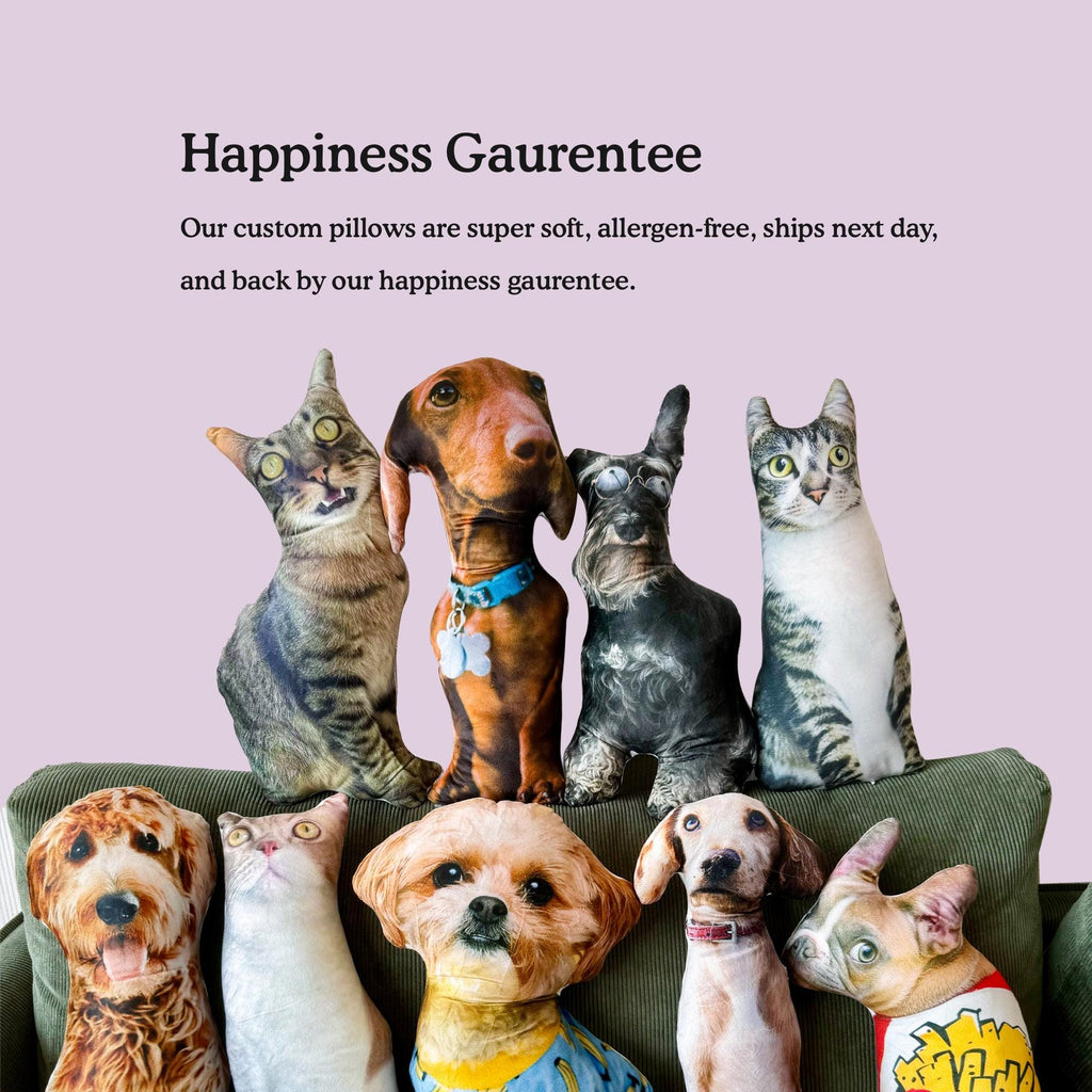 Custom Dog Pillow, Custom Cat Pillow, Custom Pet Pillow, Ugly Cat Pillow, Realistic Dog Pillow, Gift for Cat Lover, Gift for Dog Lover