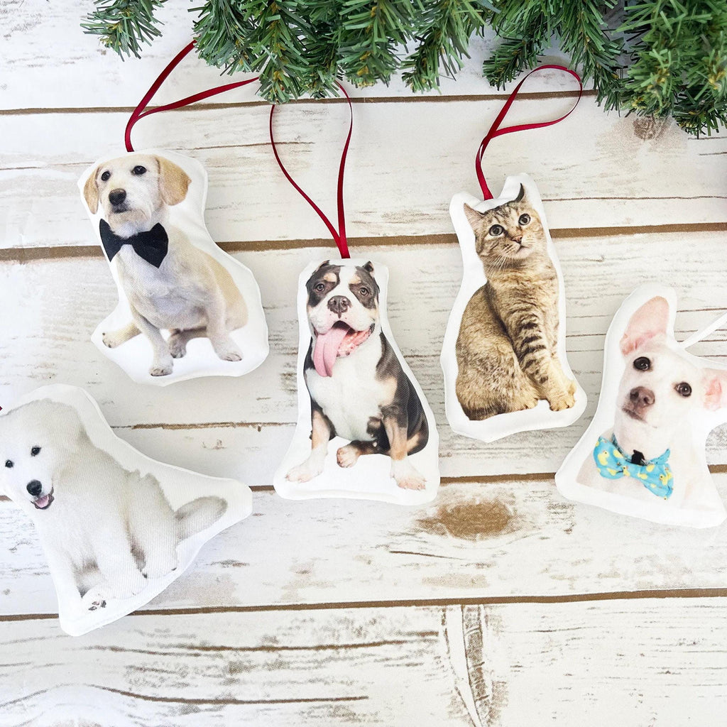 Custom Pet Photo Pillow, College Student Gift, Dorm Room, Personalized Pet Pillow, Pet Loss, Highschool Graduation Gift, Christmas Gift