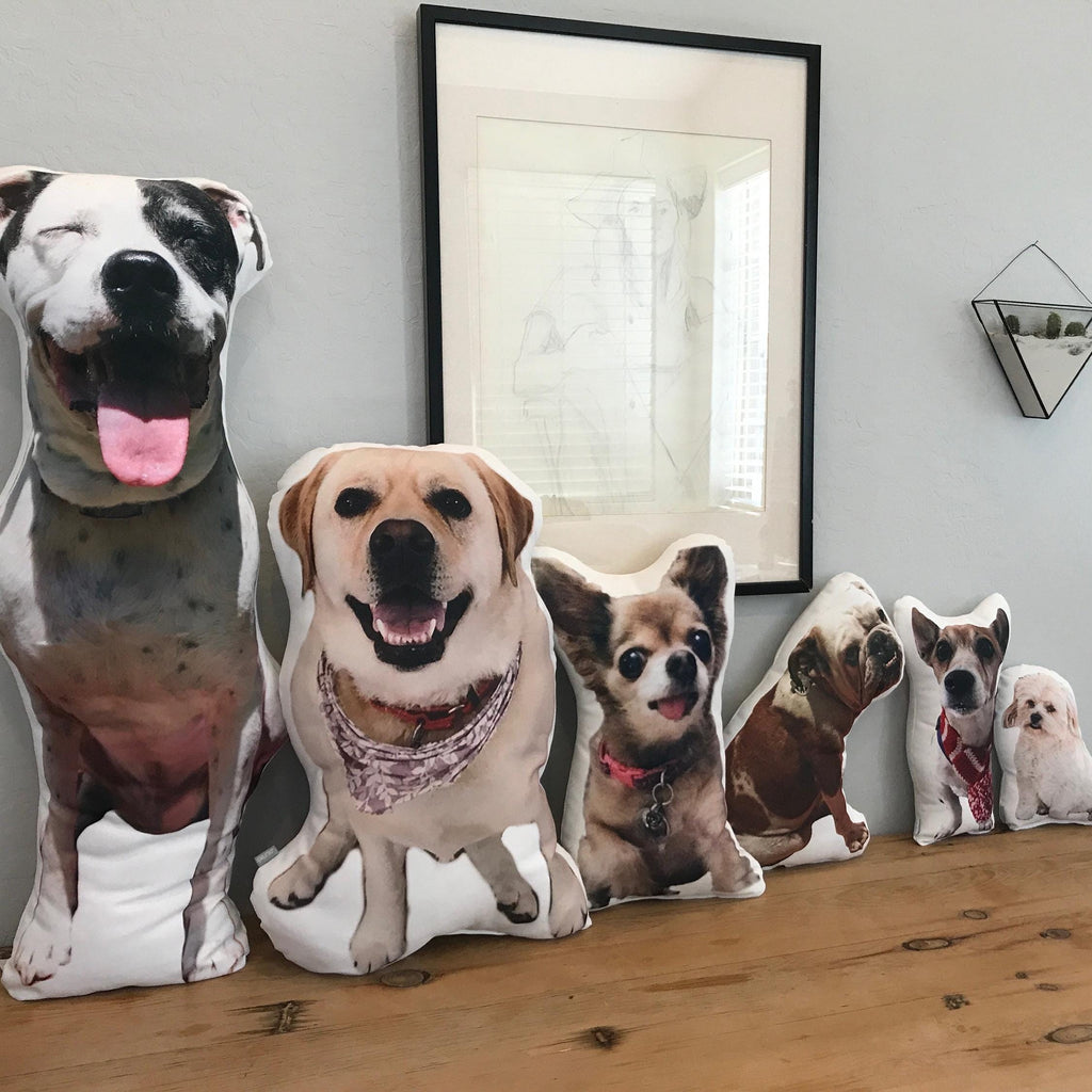 Custom Pet Photo Pillow, College Student Gift, Dorm Room, Personalized Pet Pillow, Pet Loss, Highschool Graduation Gift, Christmas Gift