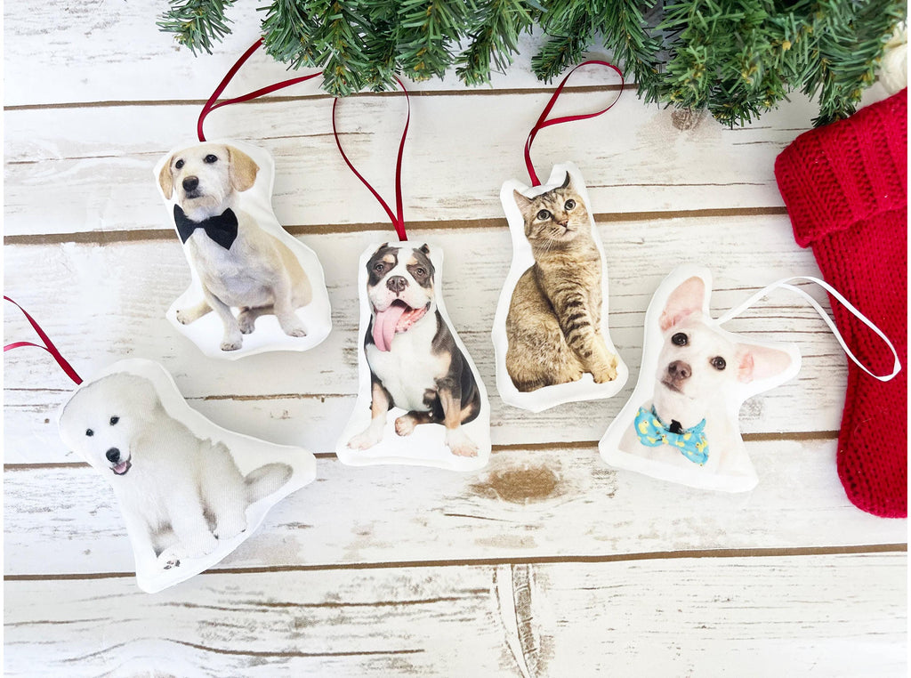 Custom Shaped Pet Pillow, Student Gift, Dorm Room, College, Moving Away, Pet Loss, Graduation gift, 3D Photo Pillow, Christmas Gift, Etsy